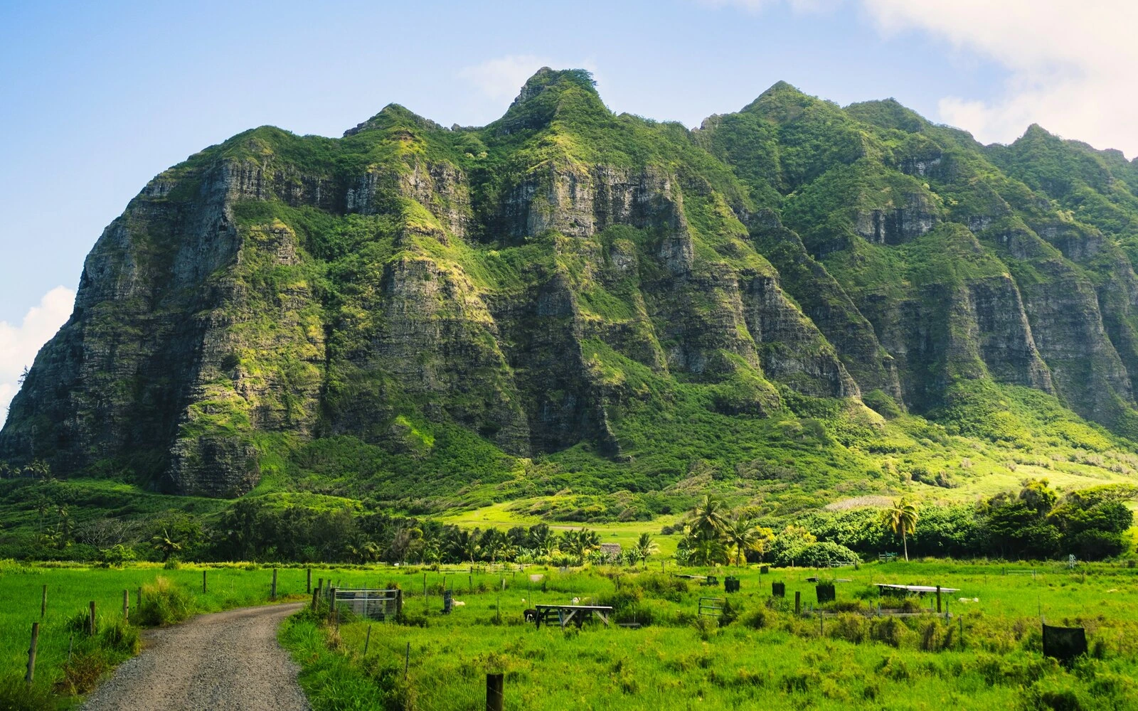 Green Koʻolau mountain cliffs and open land near Kualoa in the Kāneʻohe postal area